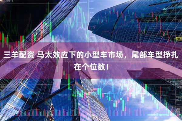 三羊配资 马太效应下的小型车市场，尾部车型挣扎在个位数！